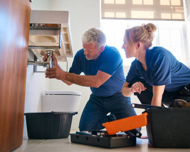 Best Emergency Plumber  in Millport, AL